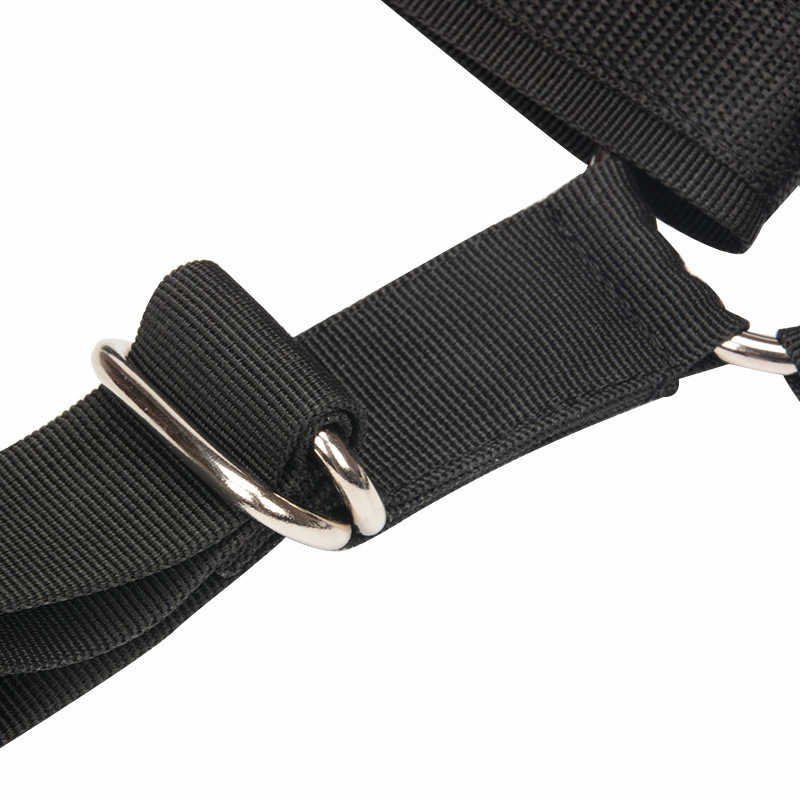 BDSM Sex Toys Bondage Gear Bin - Men Accessories Shop 评论和价格